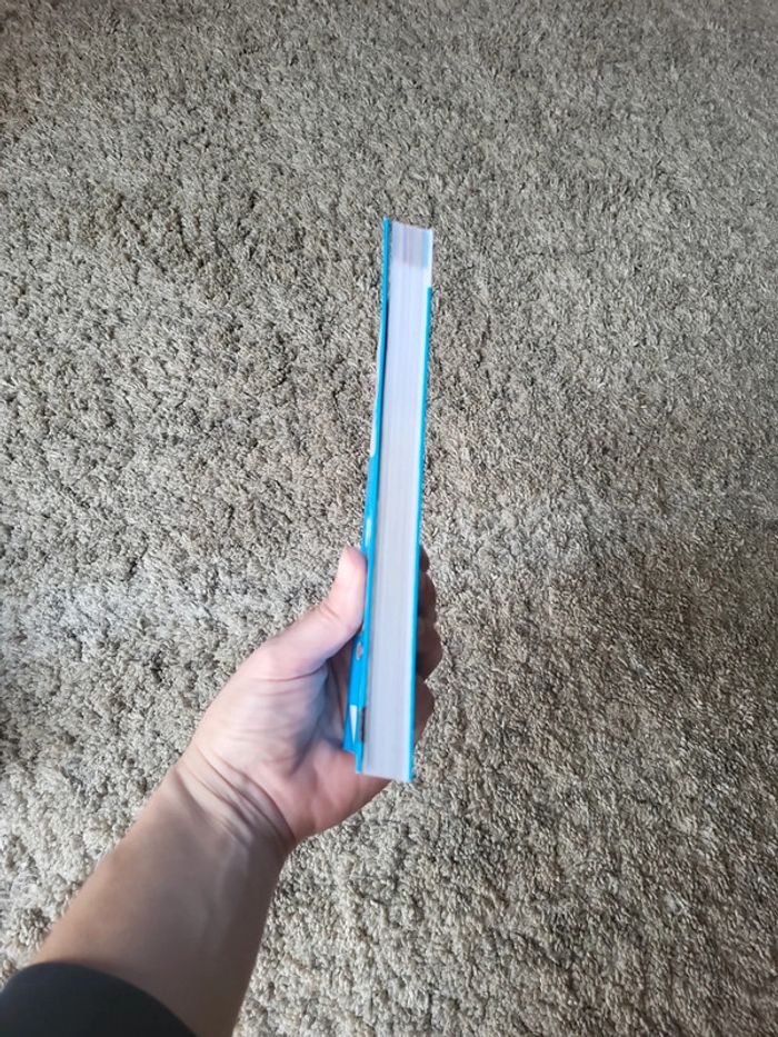 Livre fiche BAC - photo numéro 5