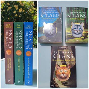 La Guerre des Clans, grand format, Cycle 4 : Livrs 1, 2 et 3