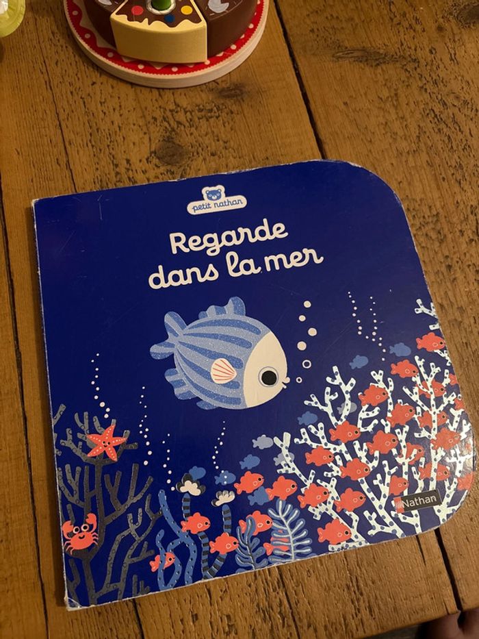 Livre Regarde dans la mer Nathan