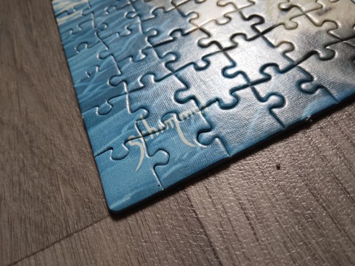 puzzle 1000 pièces tigre blanc fluorescent - photo numéro 7