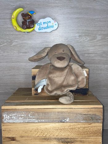 ZEE28 doudou chien 🐶 zeeman 