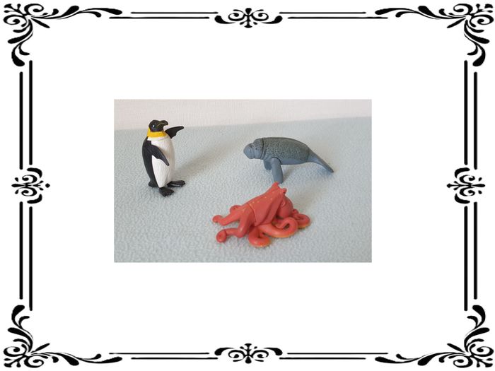 Animaux marins. - photo numéro 2