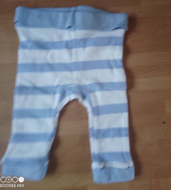 Legging