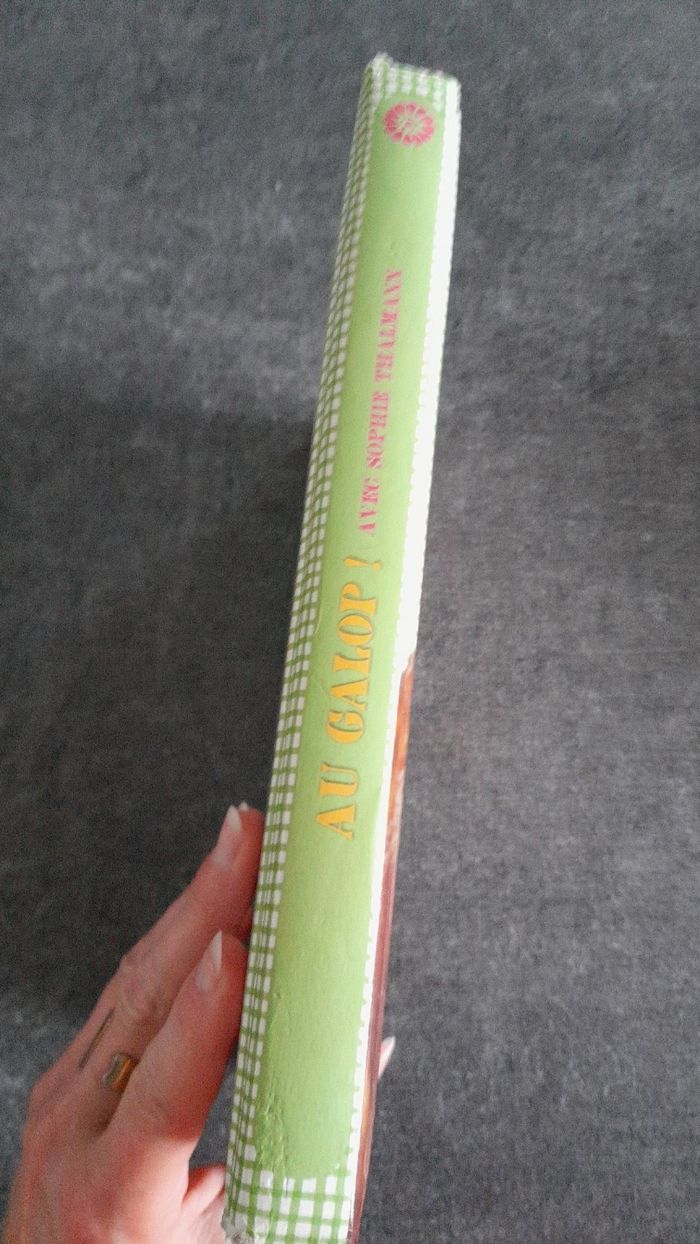 Au galop - photo numéro 2