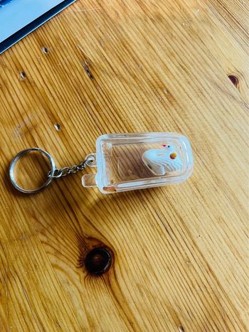 Porte clés cygne dans bouteille