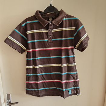 12 polo marron