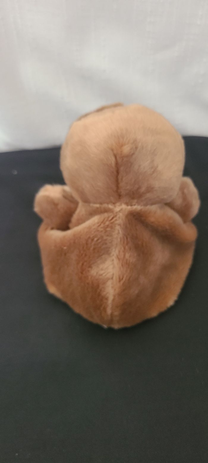 Aurora, Palm Pals, Paresseux Slomo, 13 cm - photo numéro 4