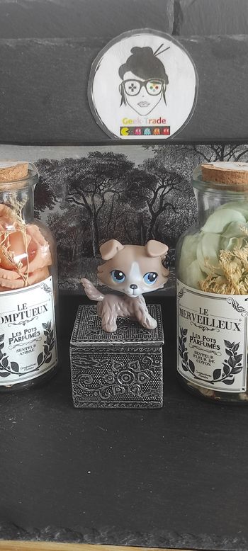 My Littlest Petshop Pet Shop LPS Authentic  Authentique Dog Collie Colley 67