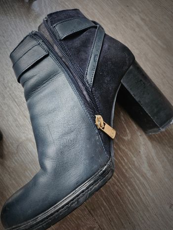 Bottines Tommy Hilfiger