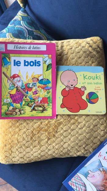 Lot de 2 livres