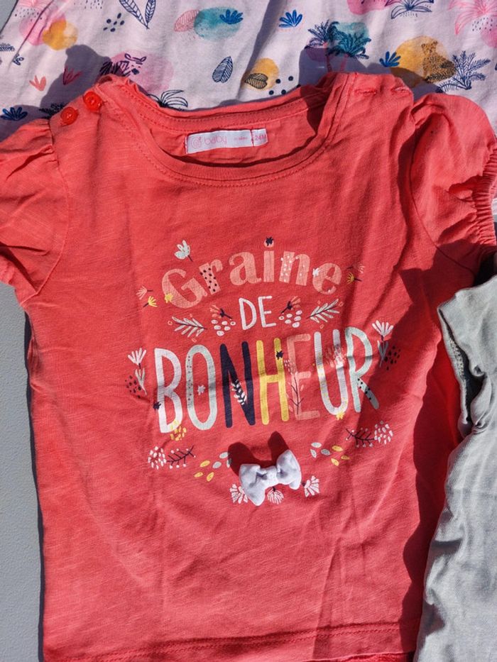 Lot 5 t-shirts 24 mois - photo numéro 2
