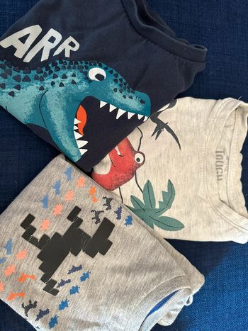 Lot 3 tee-shirts dinosaures taille 3 ans