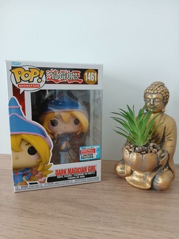 Pop yu-gi-oh  fille magicienne noire
