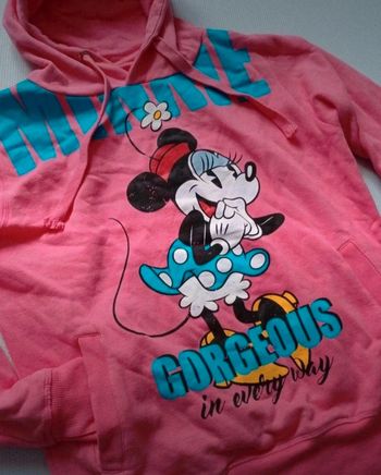 Sweat capuche Disneyland Paris 38/40