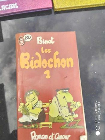 Bidochon (11 bd et un format poche)