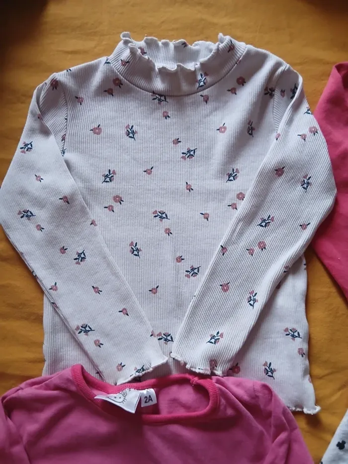 Lot de 4 Tee-shirts manches longues 24 mois - photo numéro 3