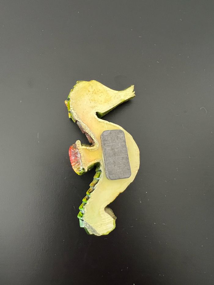 Manget hippocampe - photo numéro 3