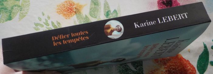 DEFIER TOUTES LES TEMPETES de Karine LEBERT Ed. France Loisirs - photo numéro 4