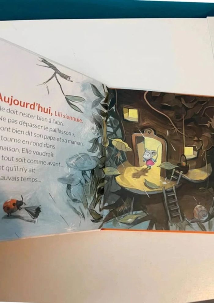 Livre les émotions de louloup et Lili s’ennuie - photo numéro 3