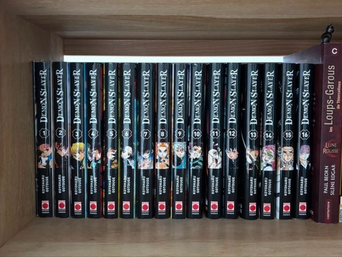 Demon Slayer tome 1 à 16