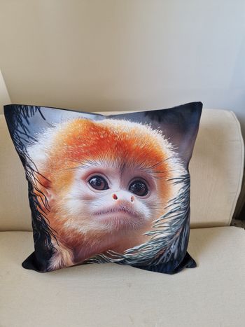 Magnifique housse de coussin 45x45cm