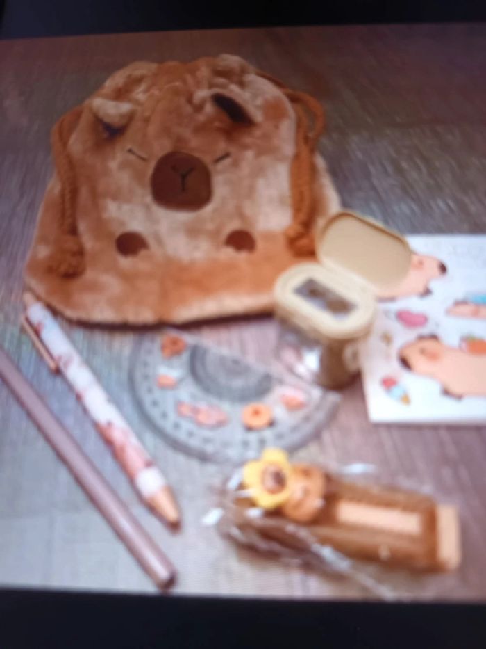 Ballotin Capybara et ses accessoires