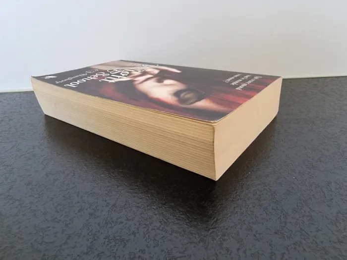 Night School de C.J. Daugherty - photo numéro 6