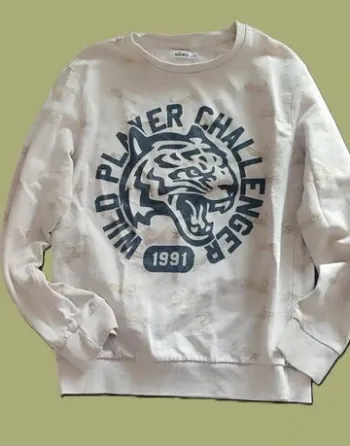 🦁 Sweat garçon 12 ans – Gémo