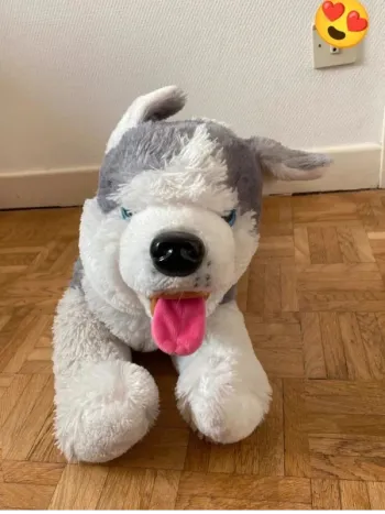Peluche