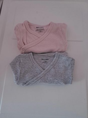 Bodies