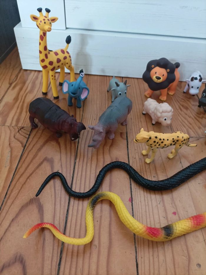 Lot animaux - photo numéro 2