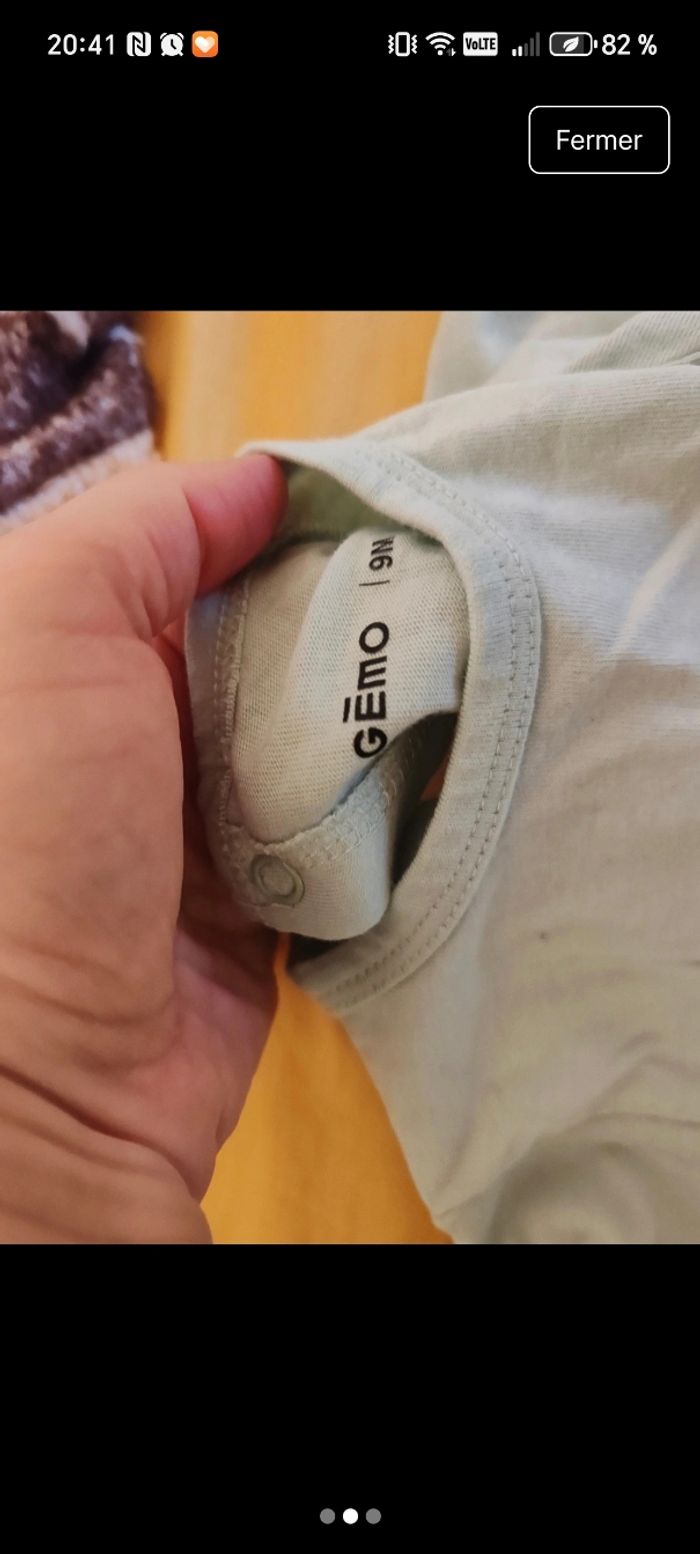 Grenouillère - photo numéro 2