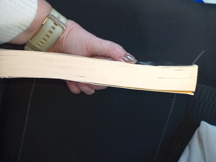 Livre Écho Park - photo numéro 3