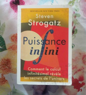 PUISSANCE INFINI (Calcul infinitésimal) par Steven STROGATZ