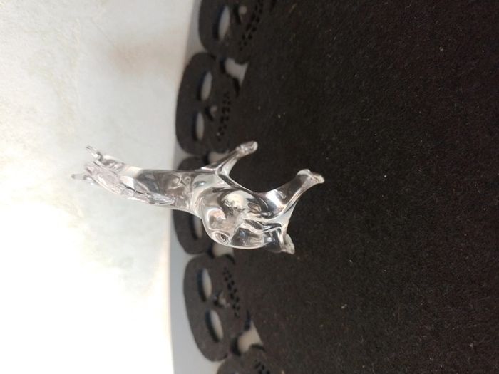 Cheval en verre - photo numéro 4