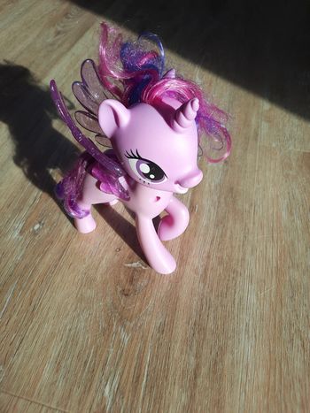 Petit Poney