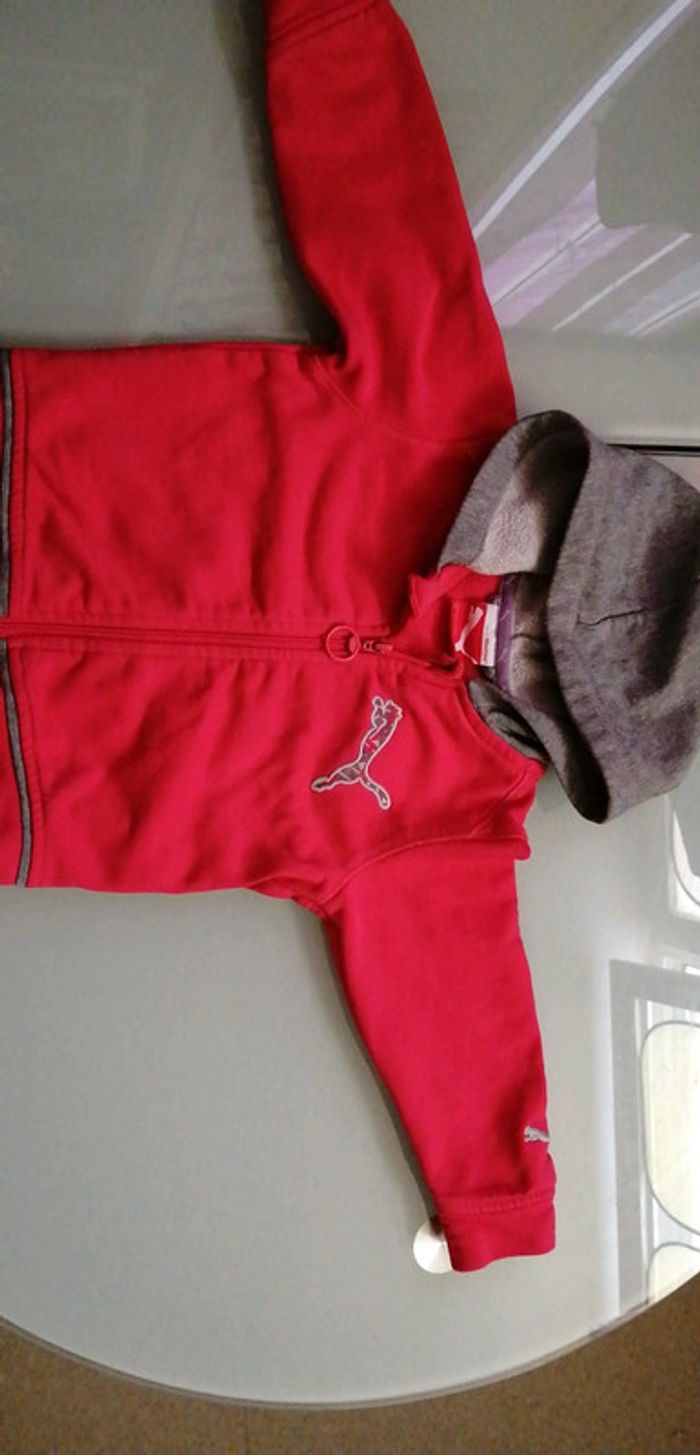 Veste puma - photo numéro 3