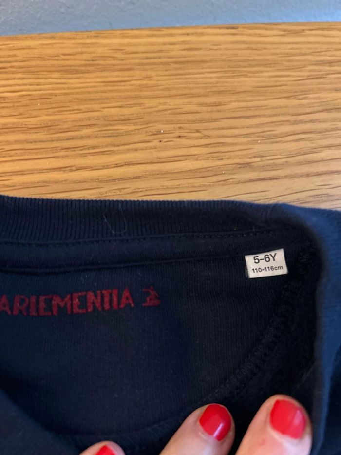 Pull Parlementia - photo numéro 2