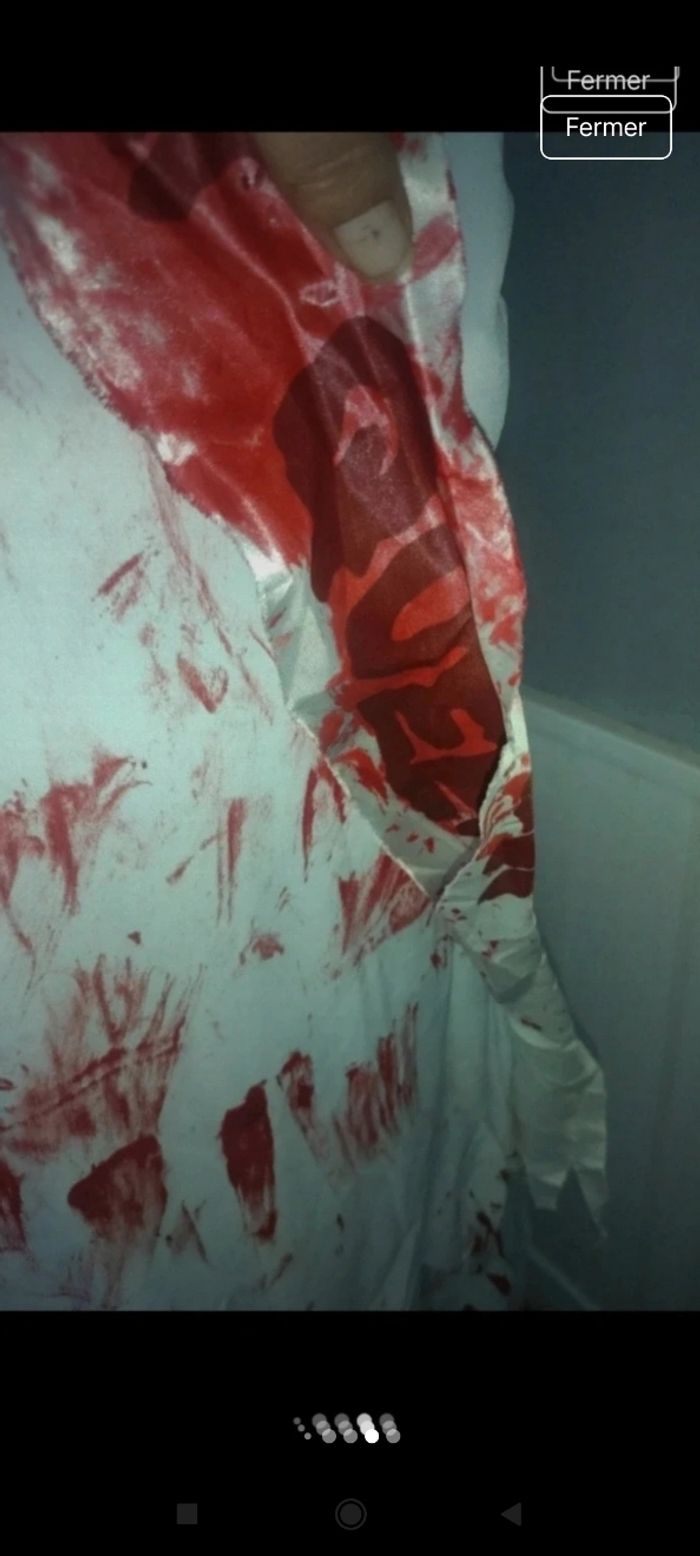 Déguisement femme f12 - photo numéro 7