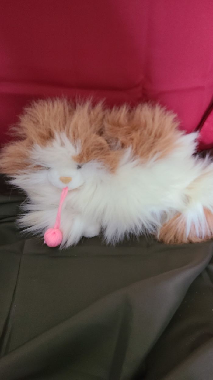 peluche chat angora et sa pelote de laine - photo numéro 5