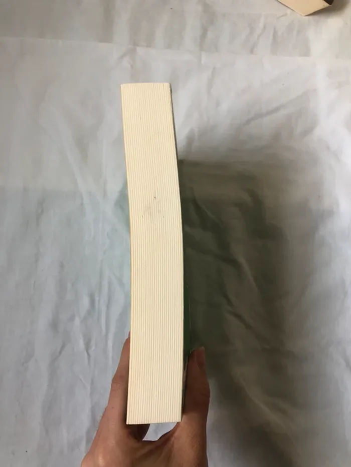 Complètement cramé - photo numéro 4