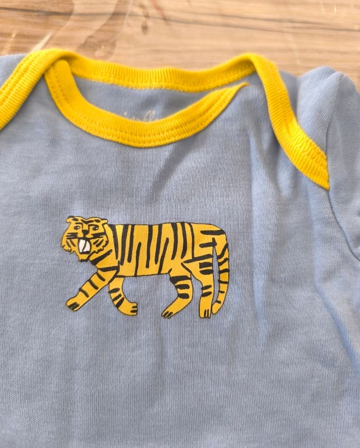 Body tigre - photo numéro 3