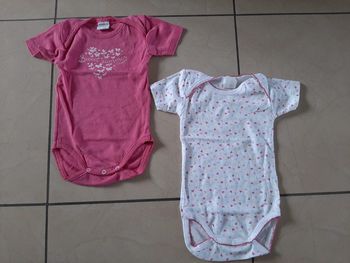 Lot de 2 bodys absorba manches courtes fille 12 mois