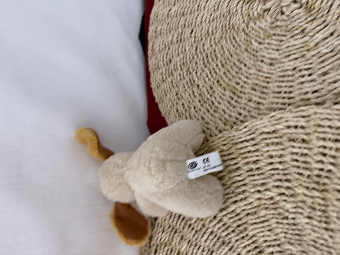 Petit Doudou chien beige CP - photo numéro 5