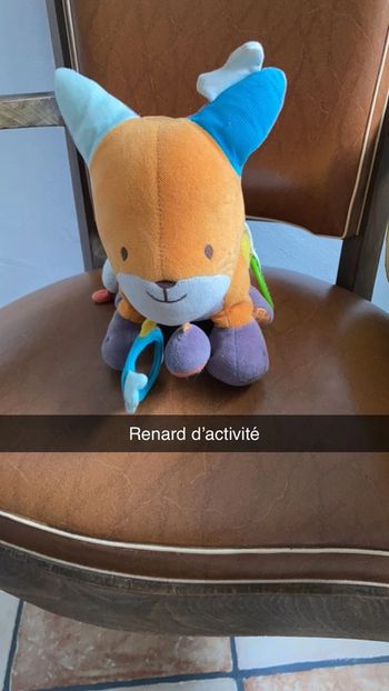 Renard d’activité