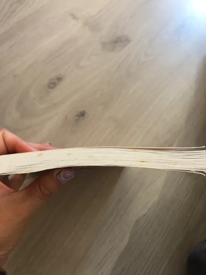 La grammaire - photo numéro 3