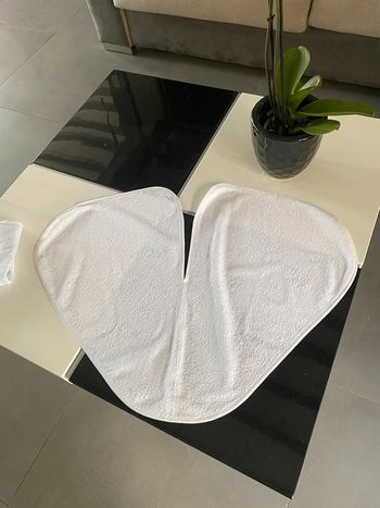 Serviettes protège épaules