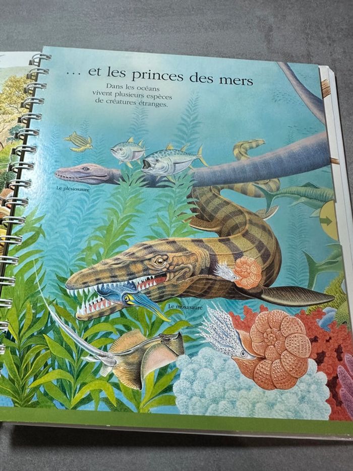 📚 Explore! Les dinosaures – mes premières découvertes (Gallimard Jeunesse) - photo numéro 9