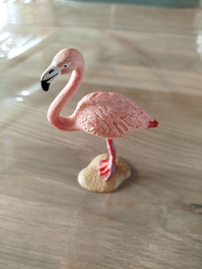 Flamant rose