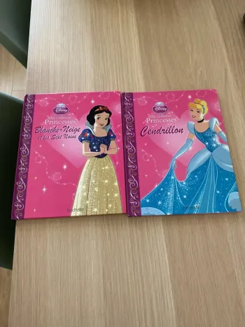 Deux livres collection princesse hachette